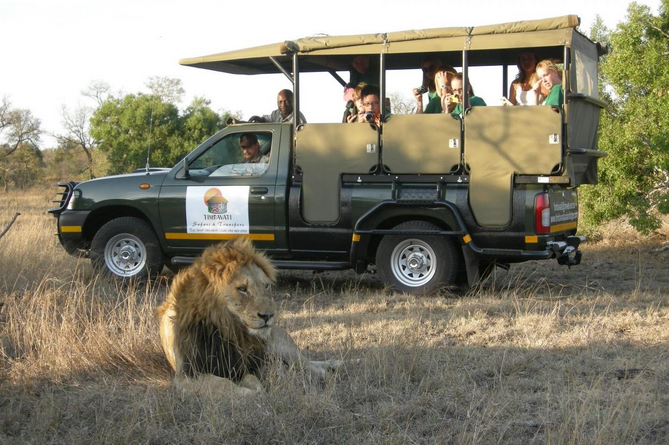 The Ultimate Family Safari Experience