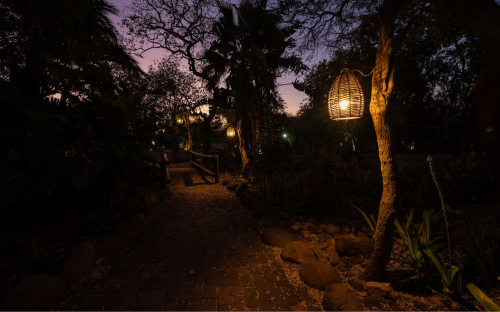 Eco-Friendly Safaris at Timbavati