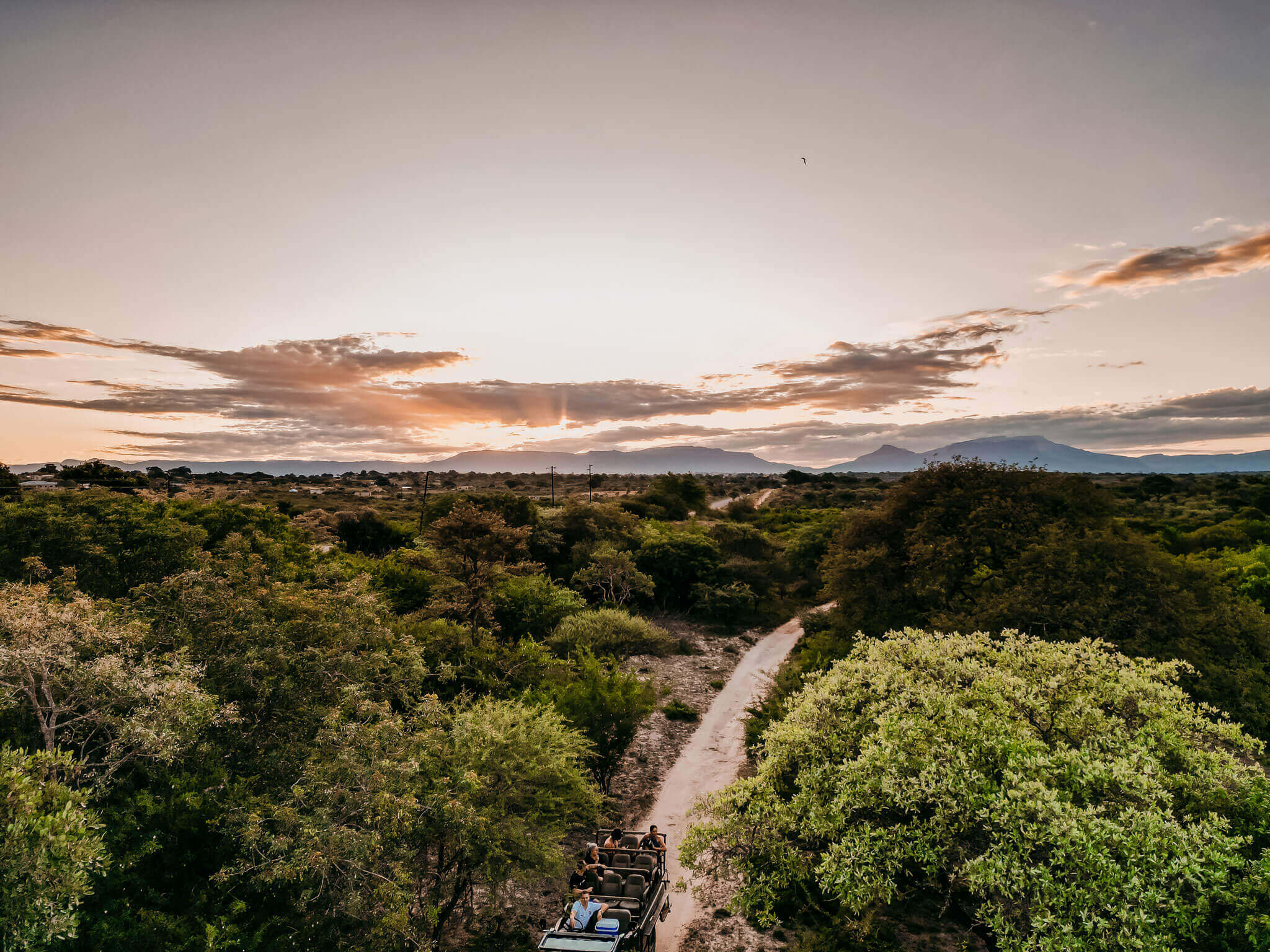 Kruger National Park Safari Experiences