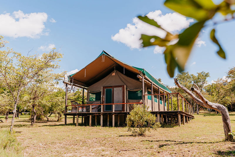 Luxury Glamping Tents Near Kruger National Park