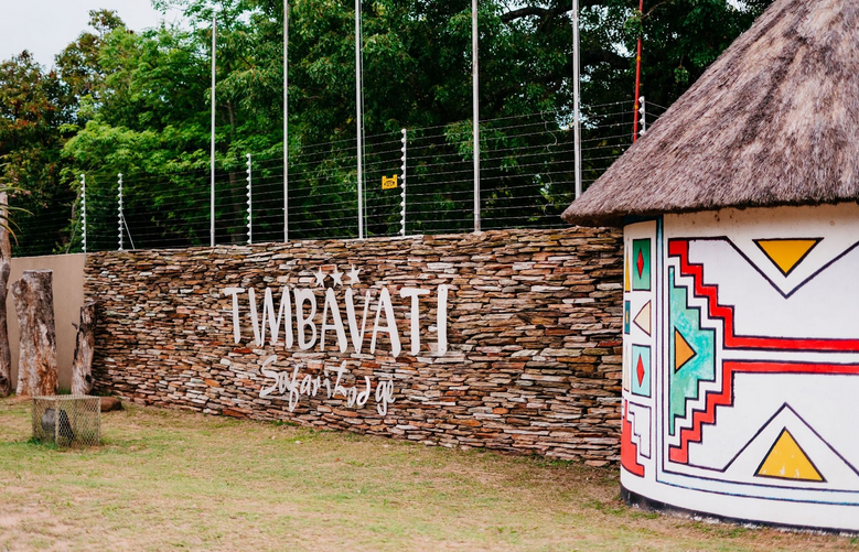 Arrive at Timbavati Safari Lodge