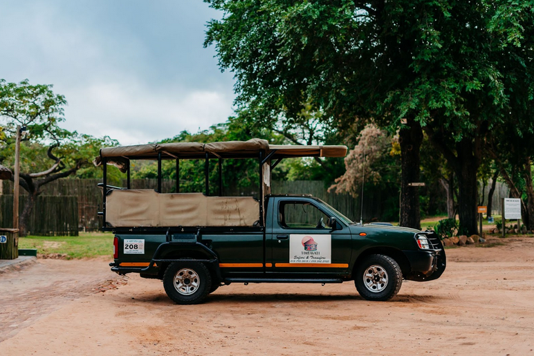 Safari Looks Like at Timbavati Safari Lodge