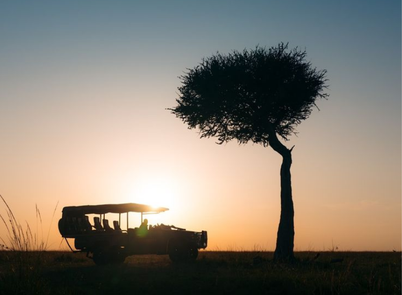 Nature Shapes Daily Life