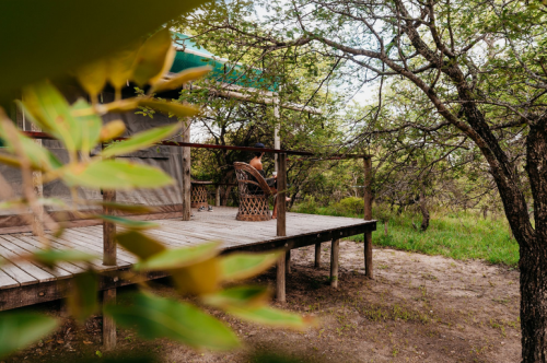 Silence and Privacy at Timbavati Safari Lodge