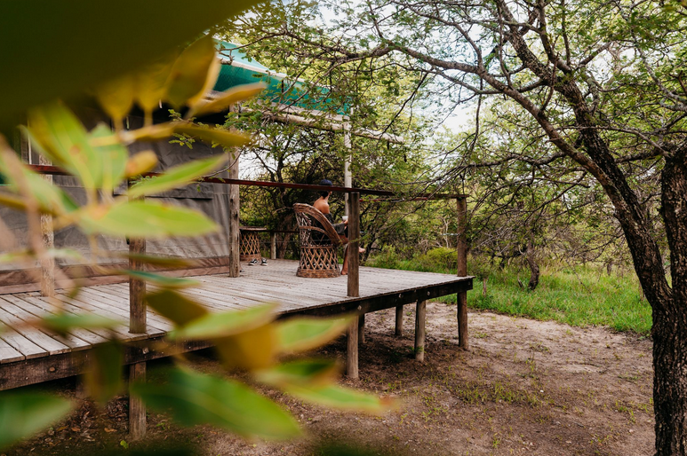 Silence and Privacy at Timbavati Safari Lodge